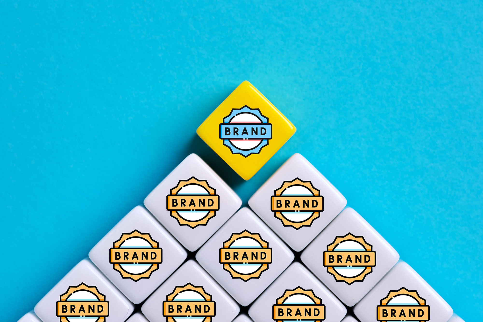 The Power of Branding: Real Results from a Booking Website Makeover 1 20251128-bradn-dec-5.jpg